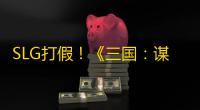 SLG打假！《三国：谋定天下》真的不肝不氪吗？